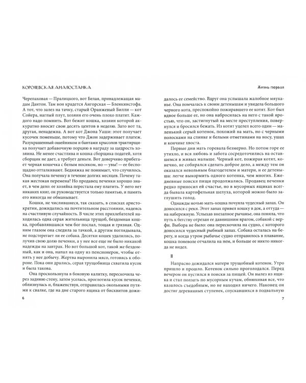 Кошка из трущоб и другие истории