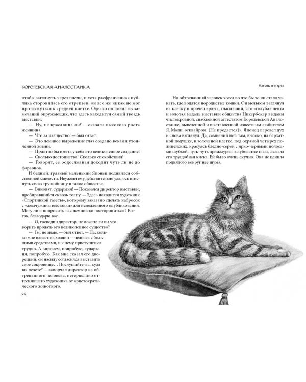 Кошка из трущоб и другие истории