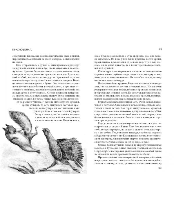 Кошка из трущоб и другие истории