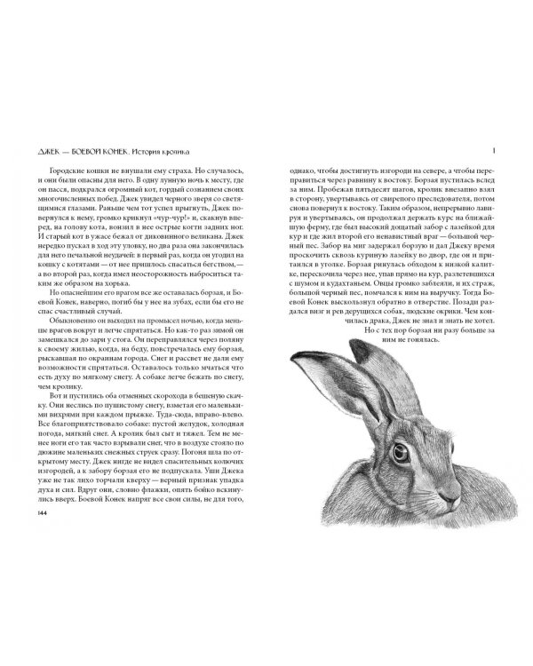 Кошка из трущоб и другие истории