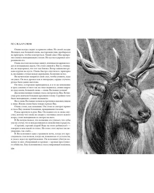 Кошка из трущоб и другие истории