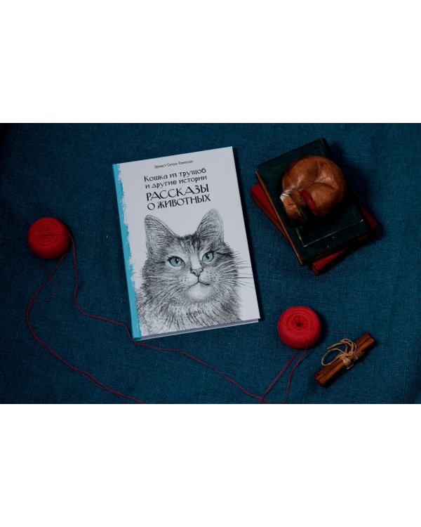 Кошка из трущоб и другие истории