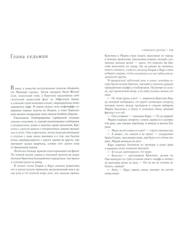 Сливовое дерево