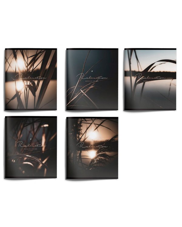 Тетрадь Days Mood, A5, 96 листов, клетка, в ассортименте