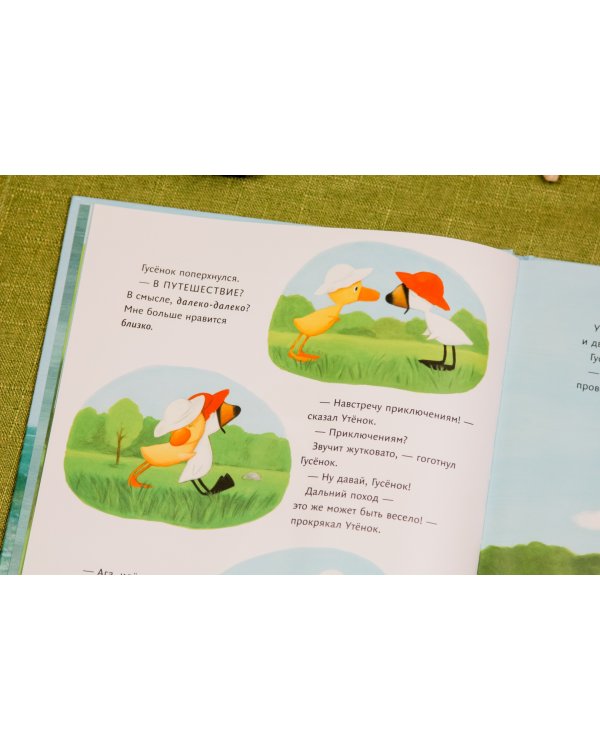 Утёнок и Гусёнок идут на пляж