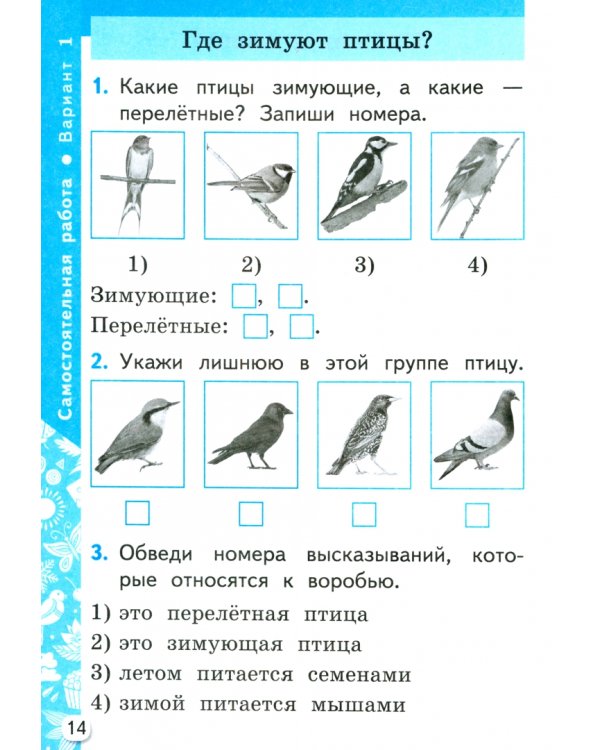 Окружающий мир. 1 класс. Самостоятельные и контрольные работы к учебнику А.А. Плешакова. Часть 2
