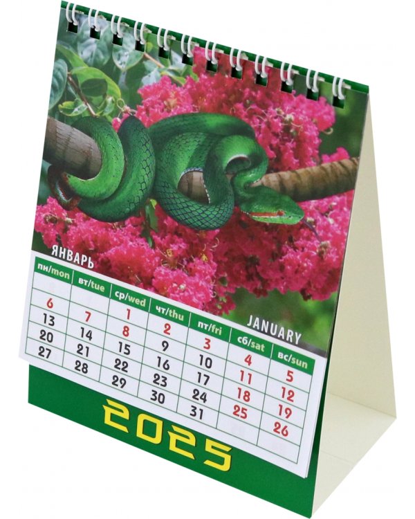 Календарь настольный на 2025 год Год змеи