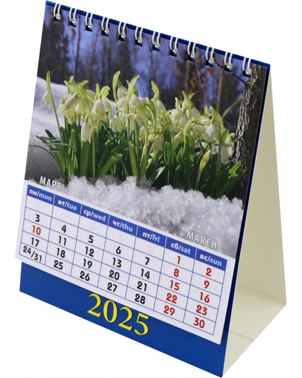 Календарь настольный на 2025 год Календарь природы