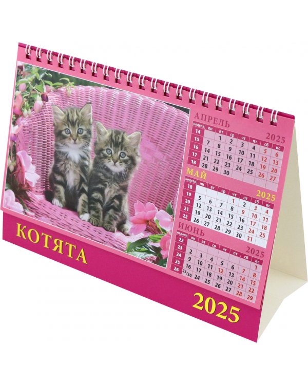 Календарь настольный на 2025 год Котята