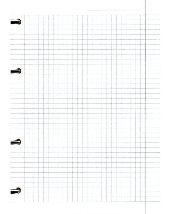 Тетрадь Flora. Черный, 120 листов, клетка, кольцевой механизм