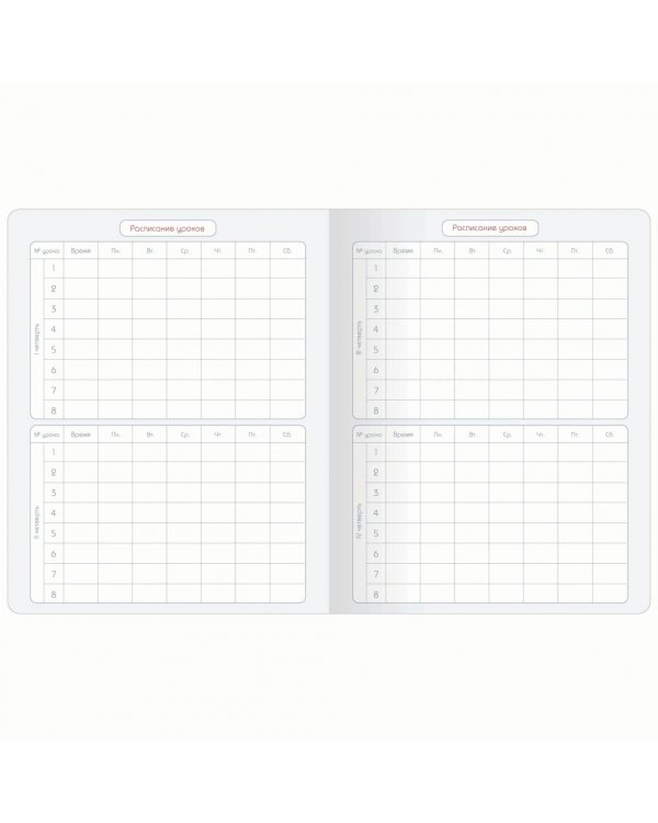 Дневник школьный для старших классов Block. Розовый, 48 листов