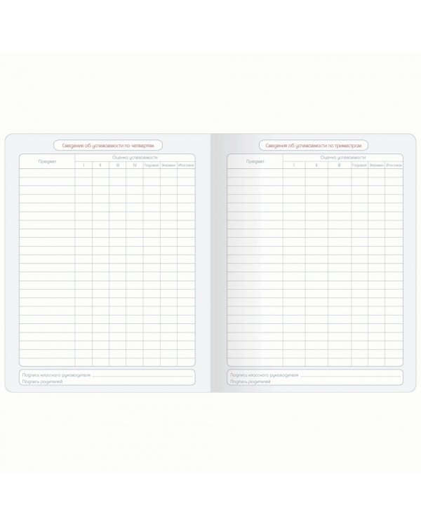 Дневник школьный для старших классов Block. Розовый, 48 листов