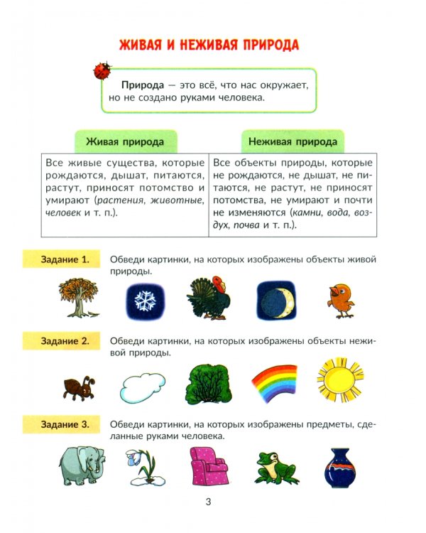 Окружающий мир. 1 класс. Тренажер. Самые важные темы программы с проверочными заданиями и ответами