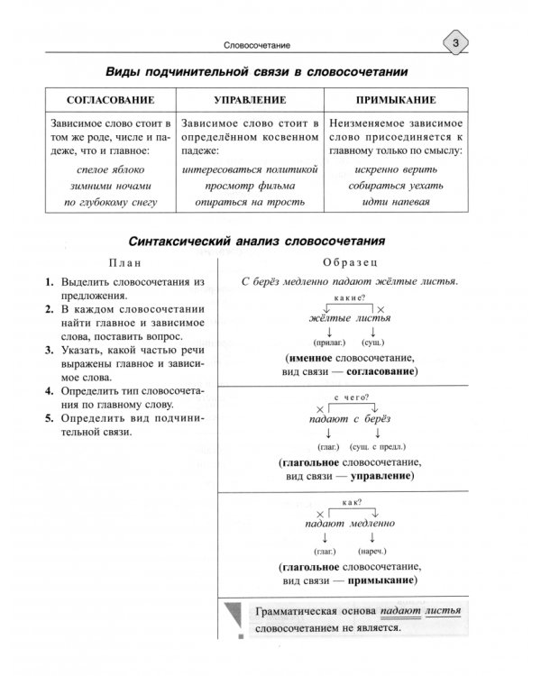 Русский язык. 8-11 классы. Синтаксис и пунктуация, работа с текстом