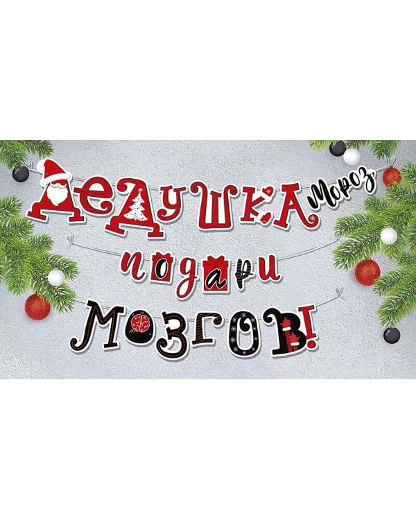 Гирлянда Дедушка Мороз, подари мозгов!