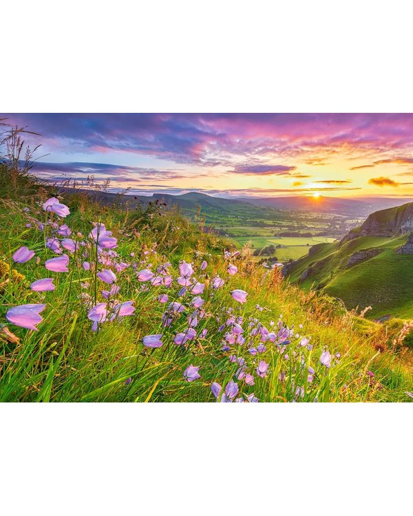 Puzzle-500 Колокольчики на рассвете