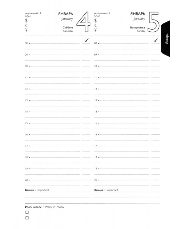 Ежедневник датированный на 2025 год Сариф Эконом. Коричневый, 176 листов, А5