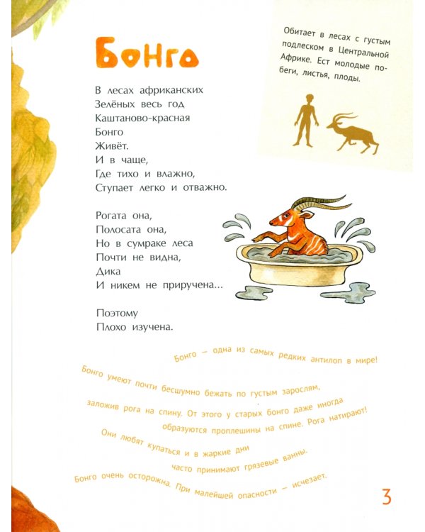 Необыкновенные звери