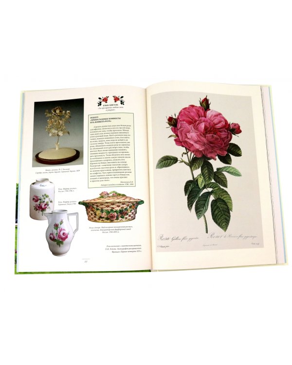 Мода на ботанику. Цветочный мир Петергофа