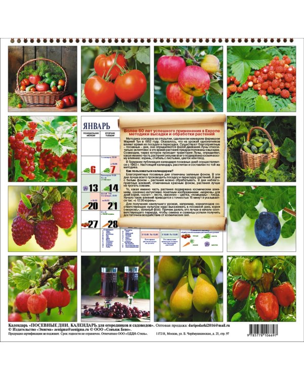 Посевные дни. Календарь для огородников и садоводов