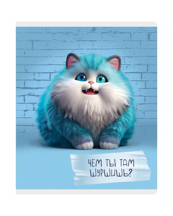 Тетрадь Осторожно, кот! 48 листов, клетка, в ассортименте