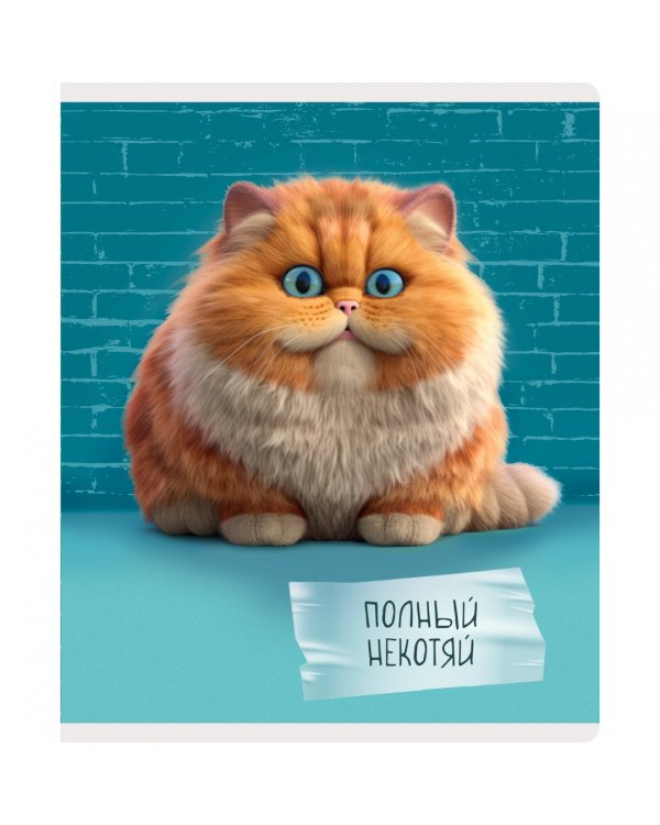 Тетрадь Осторожно, кот! 48 листов, клетка, в ассортименте