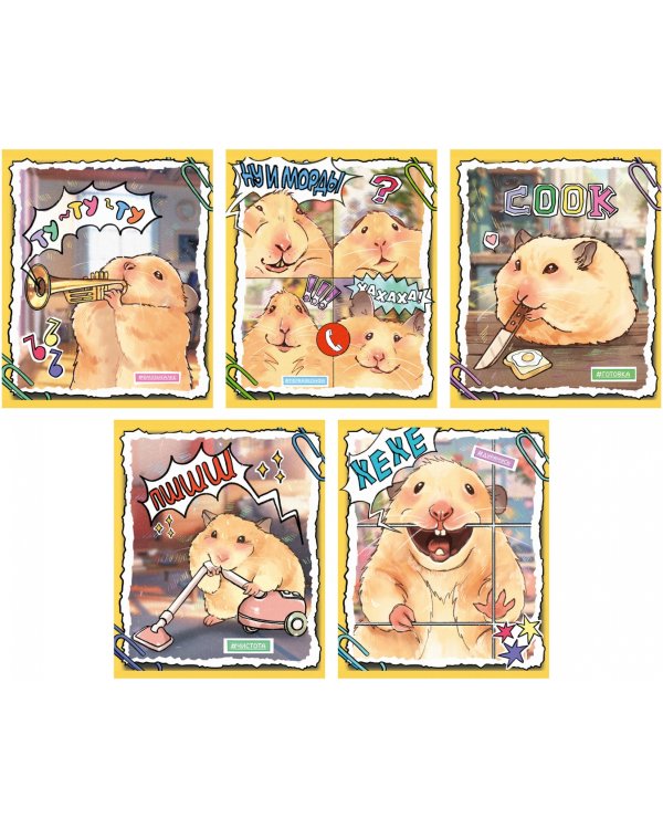 Тетрадь Хомяк Хома, 48 листов, клетка, в ассортименте