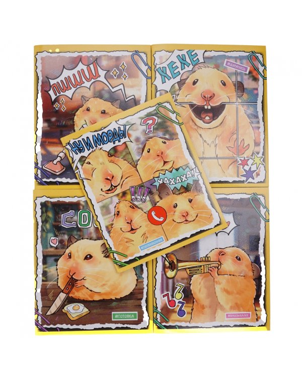 Тетрадь Хомяк Хома, 48 листов, клетка, в ассортименте