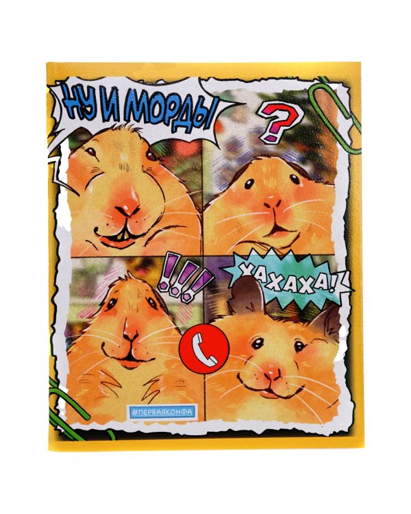 Тетрадь Хомяк Хома, 48 листов, клетка, в ассортименте