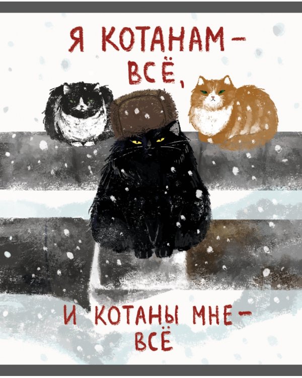 Тетрадь Возвращение котанов, 48 листов, клетка, в ассортименте
