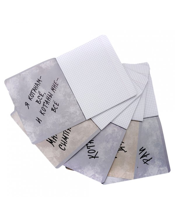 Тетрадь Возвращение котанов, 48 листов, клетка, в ассортименте