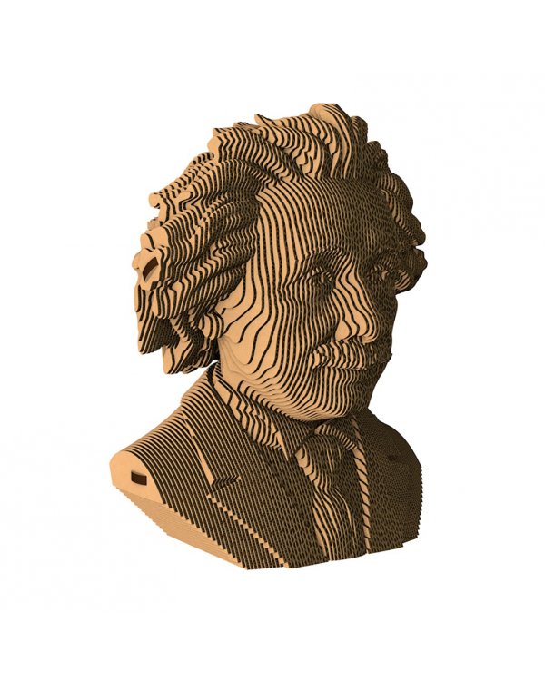 Бюст Альберт Эйнштейн»