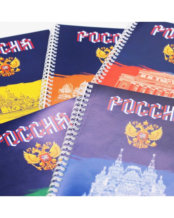 Тетрадь Россия, 96 листов, клетка, в ассортименте
