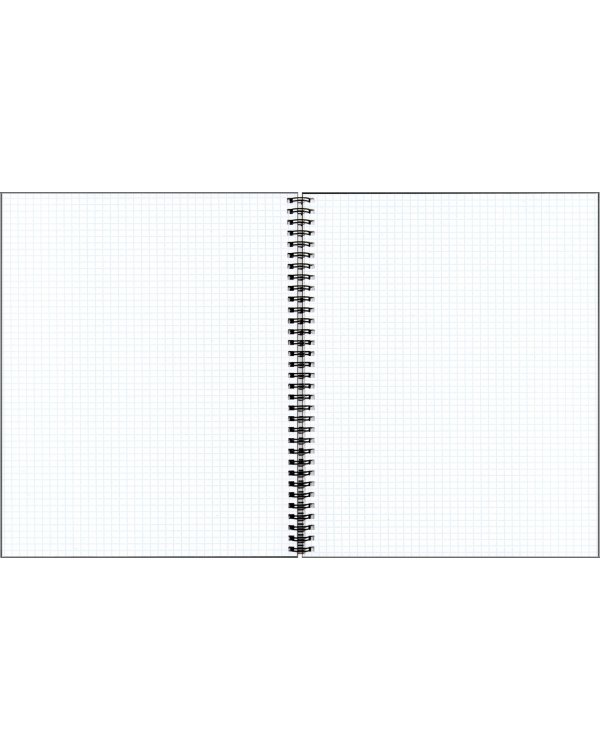 Тетрадь Россия, 96 листов, клетка, в ассортименте