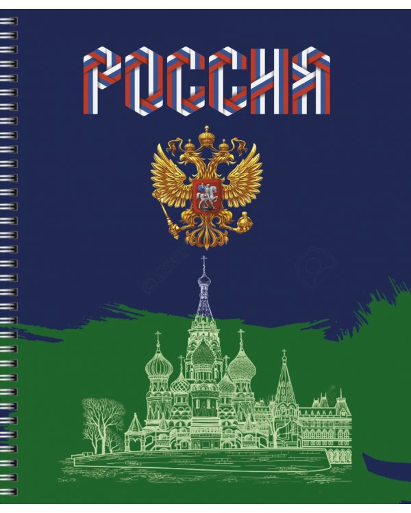 Тетрадь Россия, 96 листов, клетка, в ассортименте