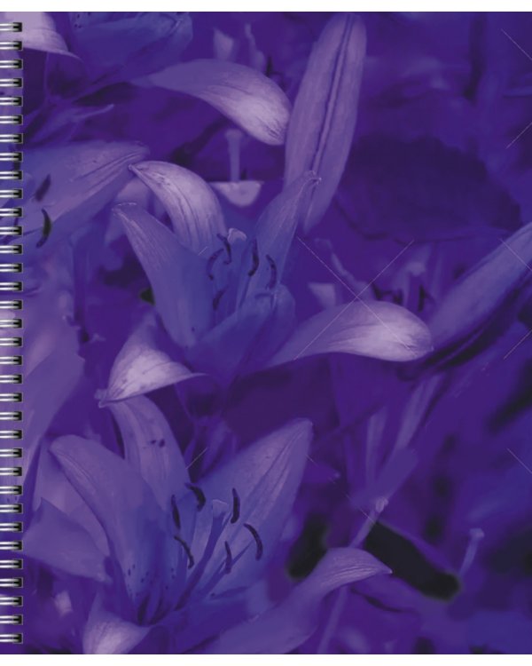 Тетрадь Violet Mix, 96 листов, клетка, в ассортименте