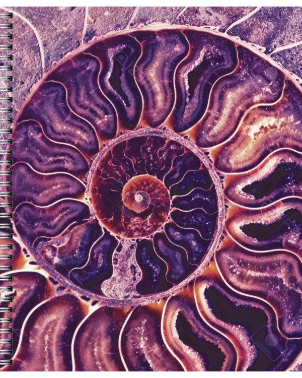 Тетрадь Violet Mix, 96 листов, клетка, в ассортименте