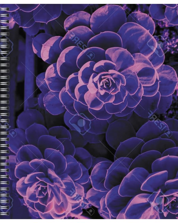 Тетрадь Violet Mix, 96 листов, клетка, в ассортименте