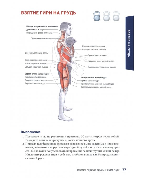 Анатомия силовых тренировок с гирями