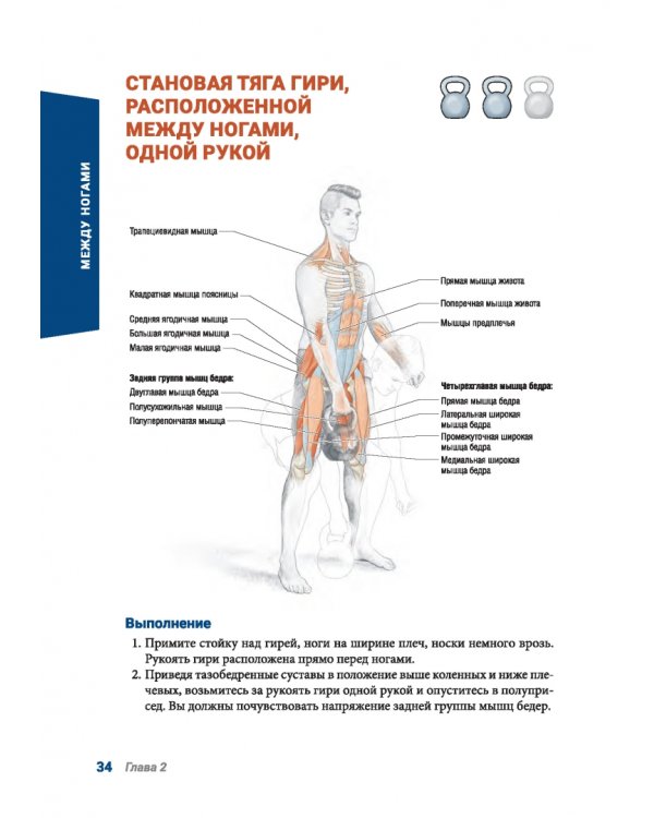 Анатомия силовых тренировок с гирями