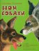 Мои собаки