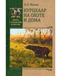 Курцхаар на охоте и дома