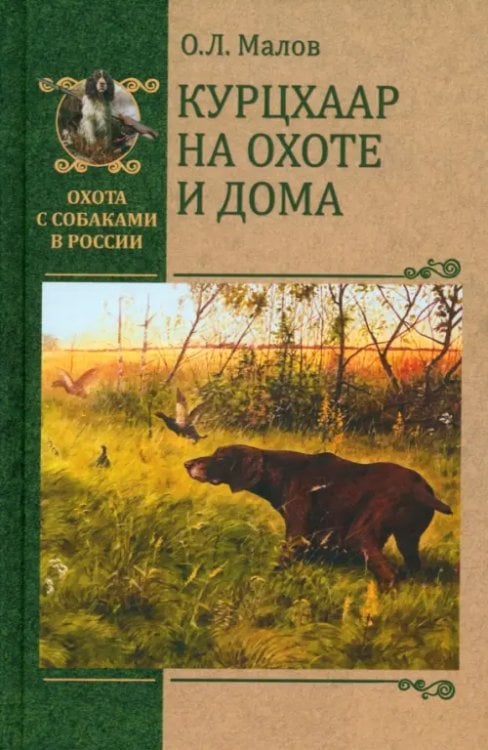 Курцхаар на охоте и дома