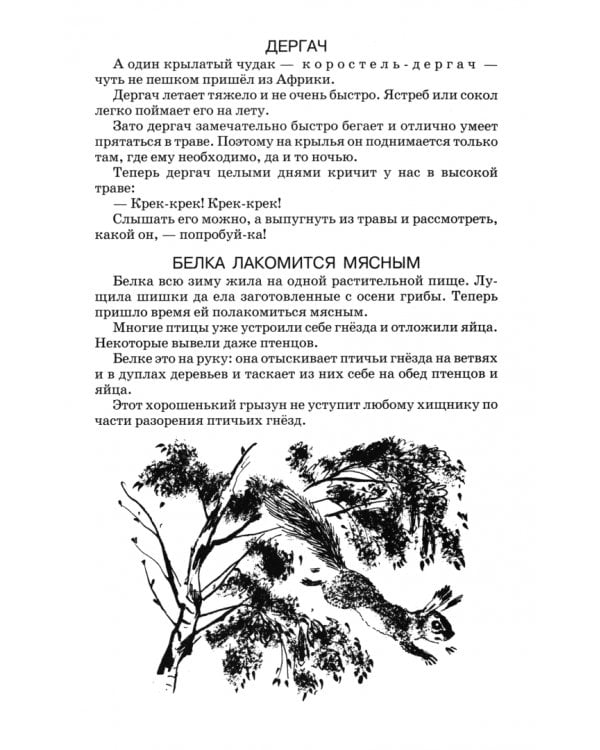 Лесная газета