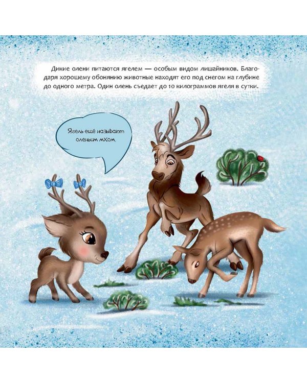 Финляндия. Страна тысячи озёр