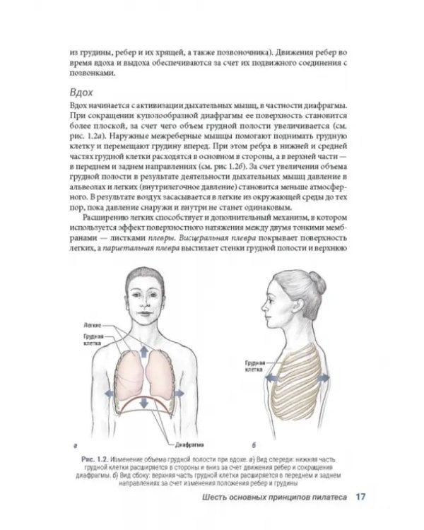 Анатомия пилатеса. Иллюстрированное руководство
