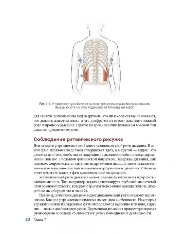 Анатомия пилатеса. Иллюстрированное руководство