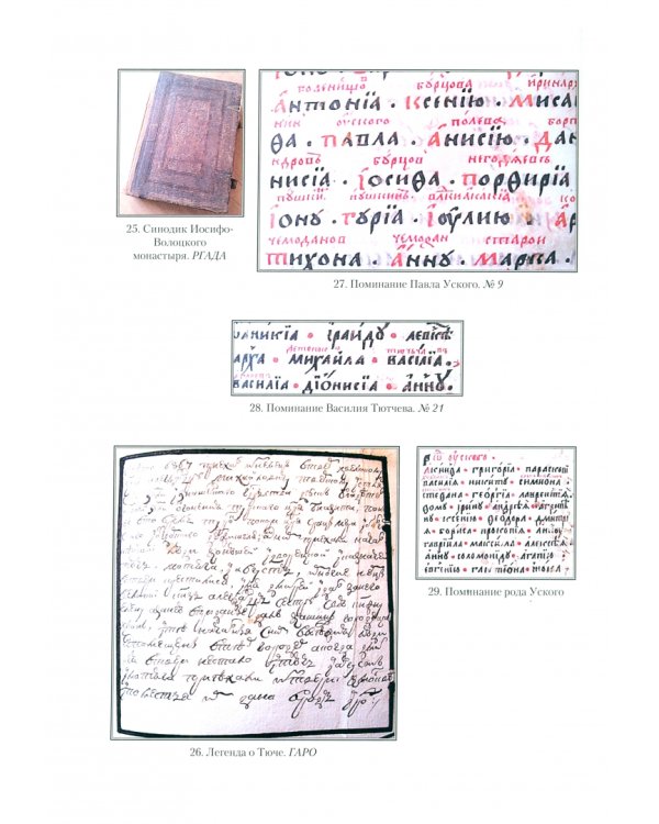 Тютчевы. Очерки по истории фамилии. Поколенная роспись. Документы и материалы. Том 1