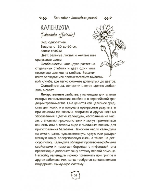 Маленькая книга трав