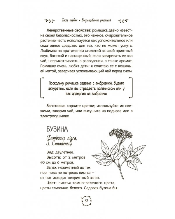 Маленькая книга трав